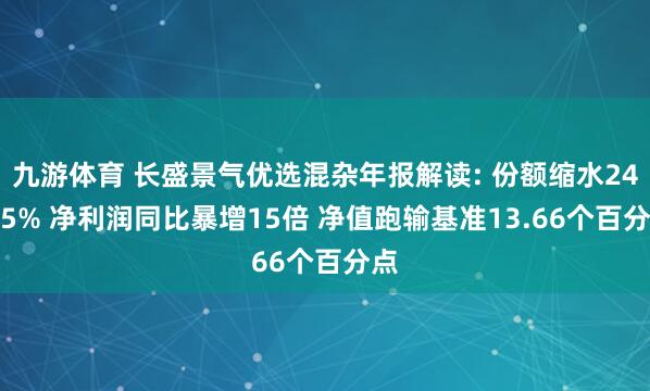 九游体育 长盛景气优选混杂年报解读: 份额缩水24.75% 净利润同比暴增15倍 净值跑输基准13.66个百分点