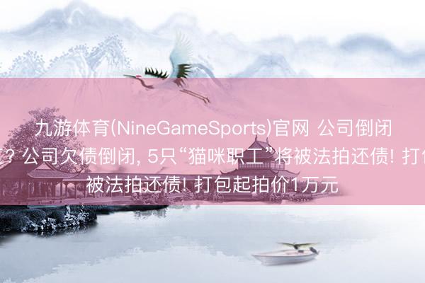 九游体育(NineGameSports)官网 公司倒闭， 竟然拍卖职工? 公司欠债倒闭， 5只“猫咪职工”将被法拍还债! 打包起拍价1万元