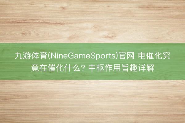 九游体育(NineGameSports)官网 电催化究竟在催化什么? 中枢作用旨趣详解