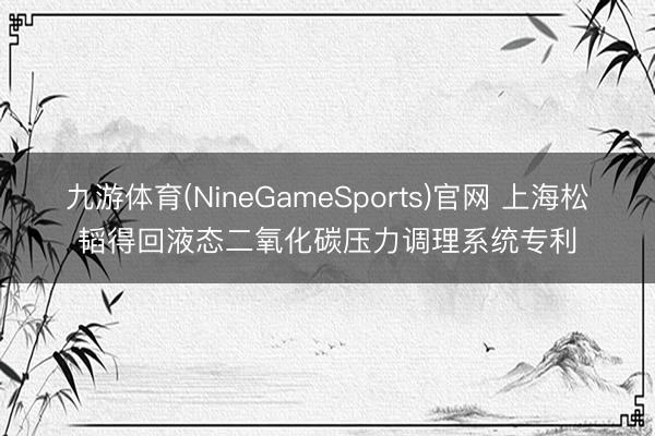 九游体育(NineGameSports)官网 上海松韬得回液态二氧化碳压力调理系统专利