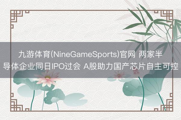 九游体育(NineGameSports)官网 两家半导体企业同日IPO过会 A股助力国产芯片自主可控